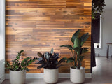 Hickory Wall Planks (10 SF) - Image 4
