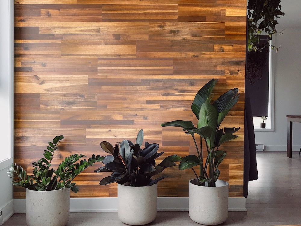 Hickory Wall Planks (10 SF) - Image 4
